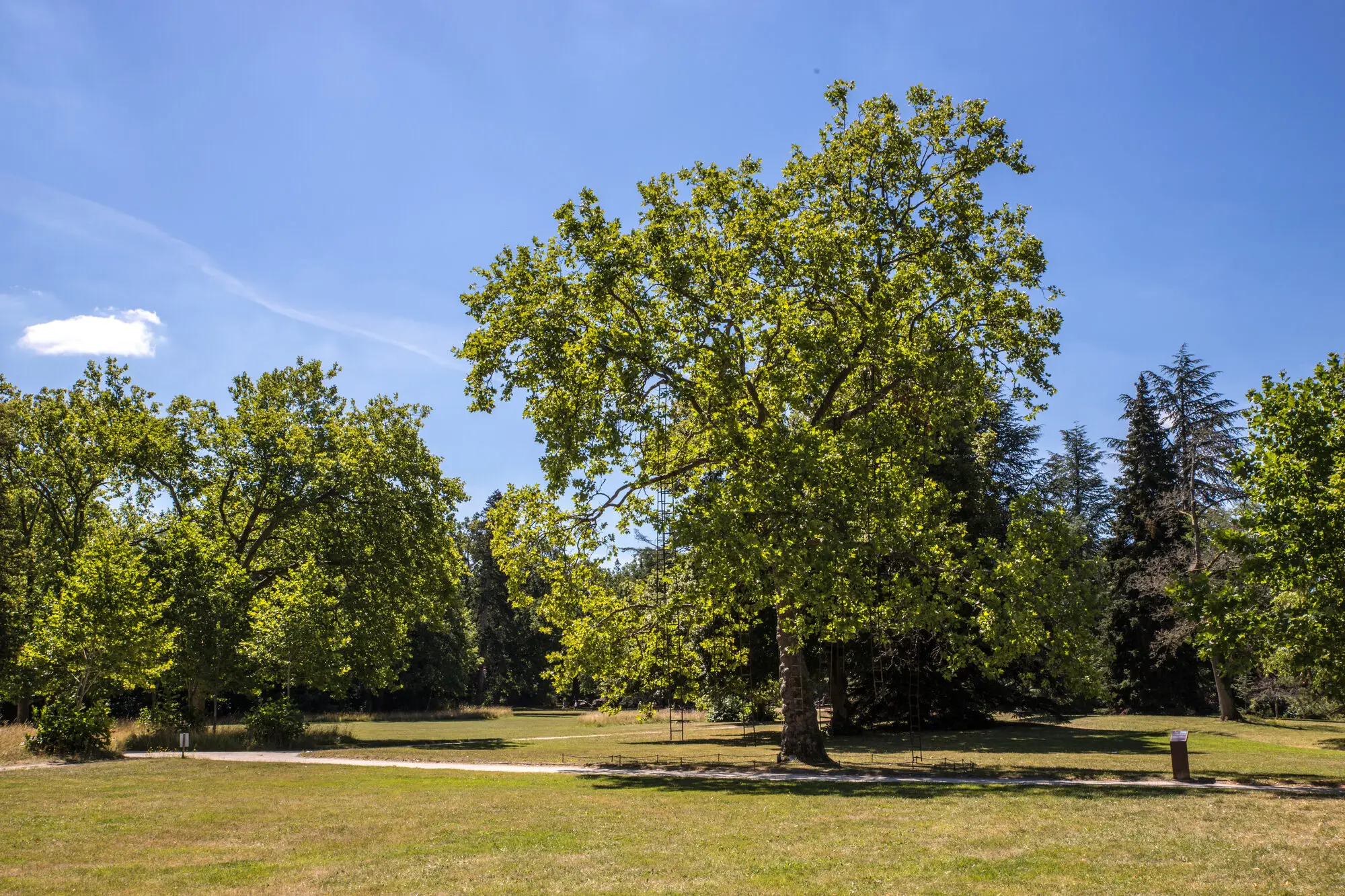 Chaumont, France, photograph 4