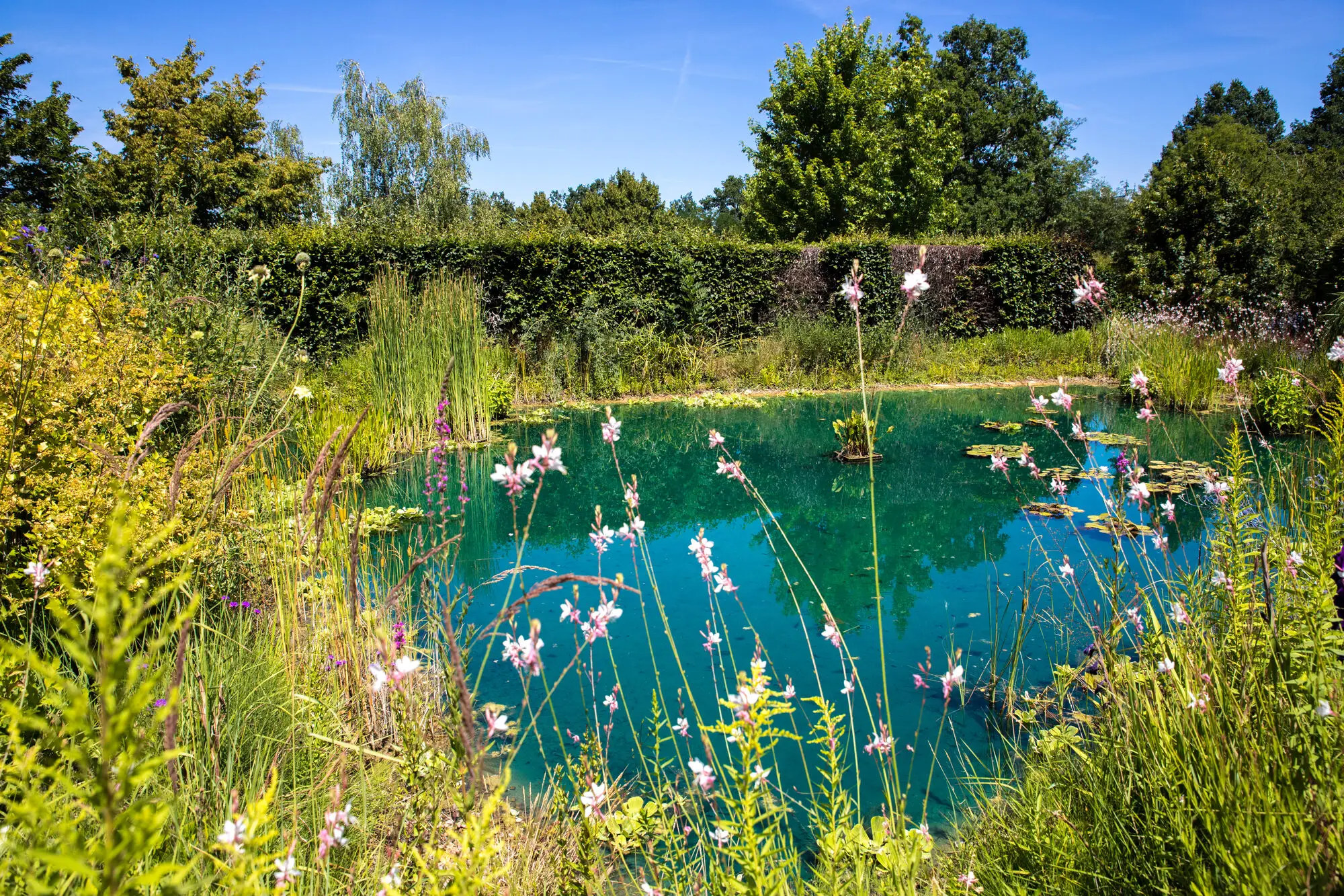 Chaumont, France, photograph 11
